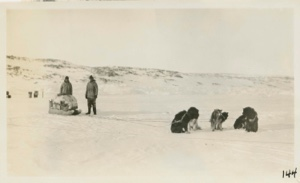 Image: Dog team- Robie and Whitehouse leaving for Cape Dorset